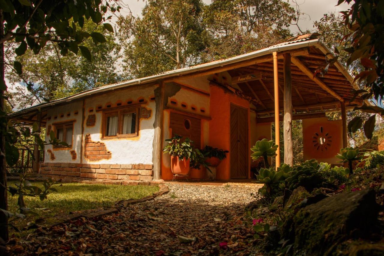 Solentiname Medellín